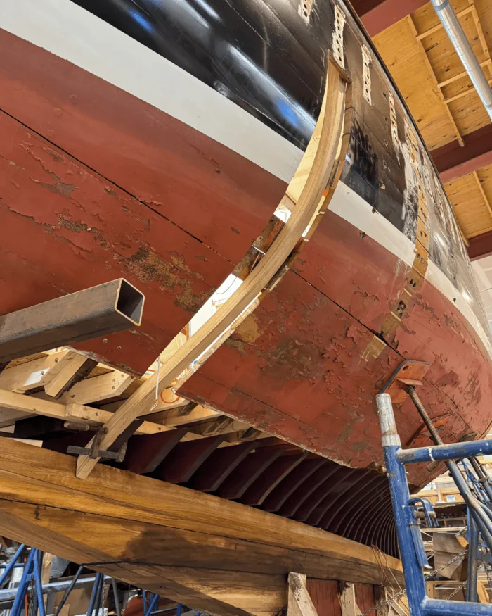 Detail of the repaired stem and frame ends with fresh wood against the old planking.